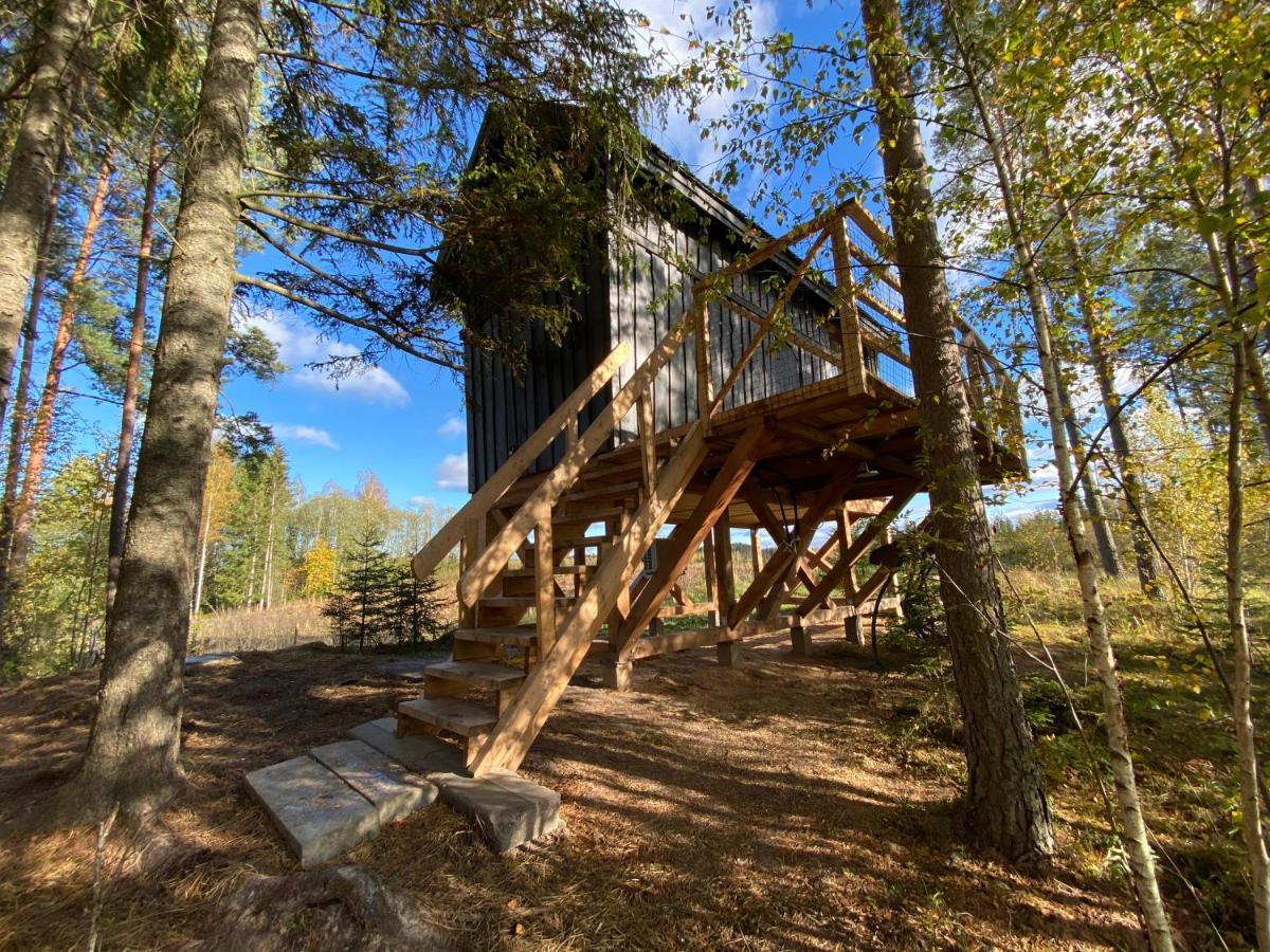 Viking House In The Tree! Jacuzzi, Sauna,Apkure! Lici  Exterior photo